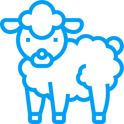 Schaf Icon für Viehzuchgebäude